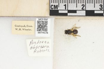 Media type: image;   Entomology 774178 Aspect: Labels